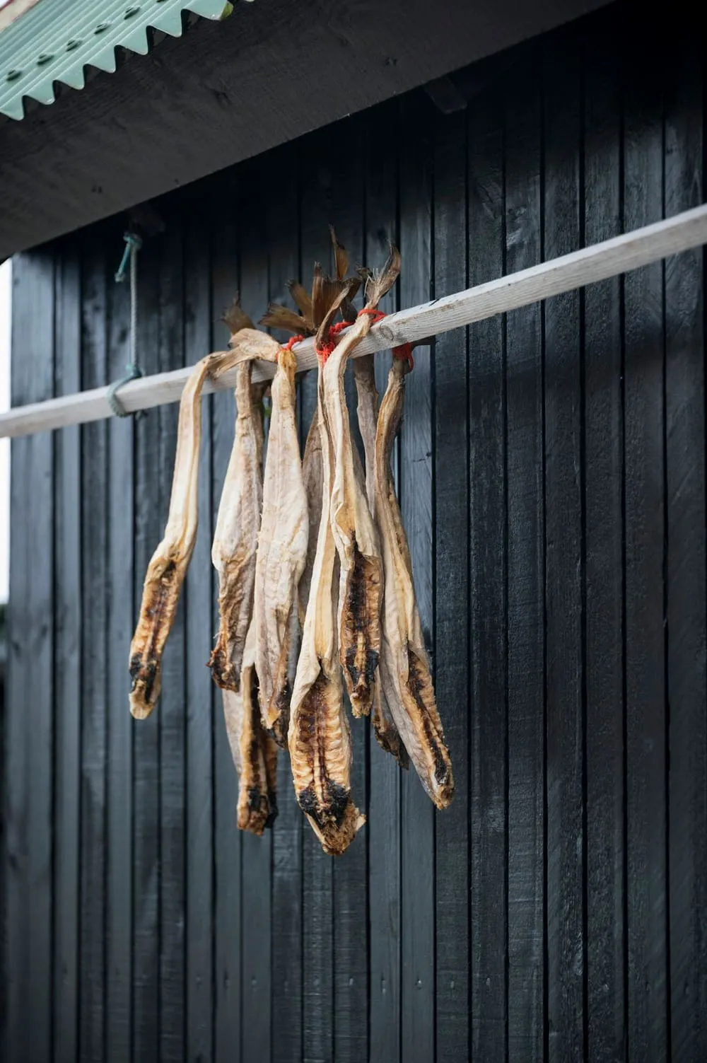 Poisson en séchage sur claie